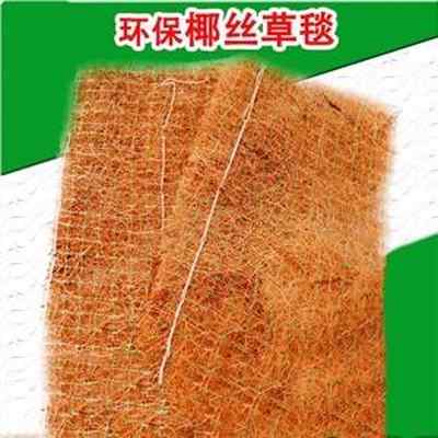 新聞 臨滄市加筋植生毯生產廠家 歡迎您