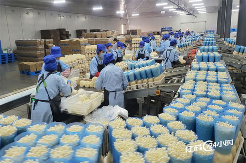 工廠化種植食用菌供應市場