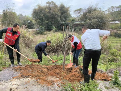 剛剛,廣東一區(qū)長(zhǎng)被查