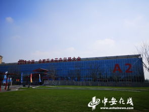 2019中國合肥苗木花卉交易大會(huì)在肥西盛大開幕